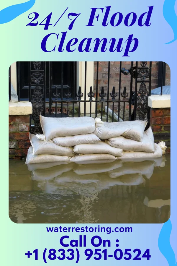 24/7 Flood Cleanup in Occoquan, VA