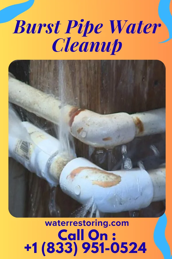 Burst Pipe Water Cleanup in Occoquan, VA