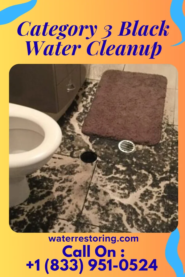 Category 3 Black Water Cleanup in Occoquan, VA
