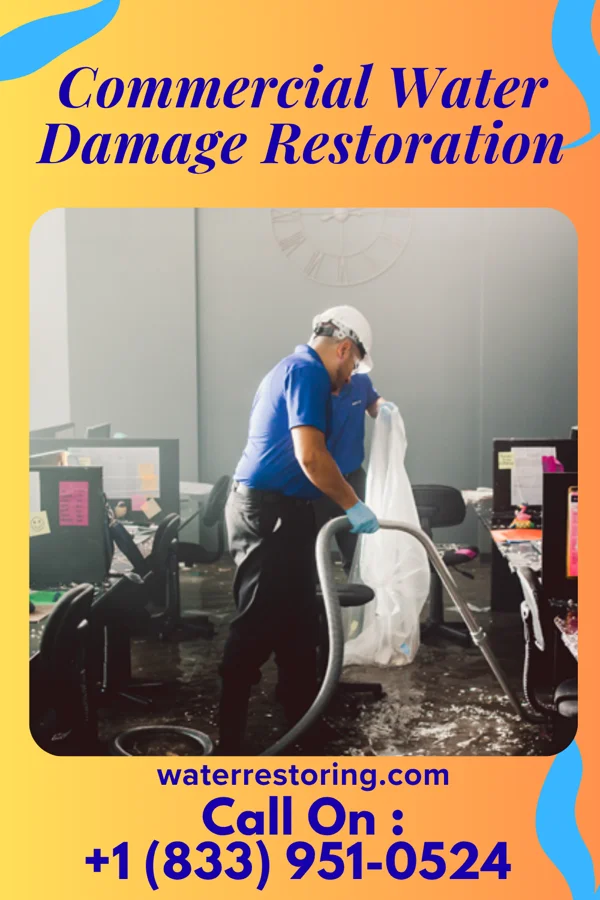 Commercial Water Damage Restoration in Occoquan, VA