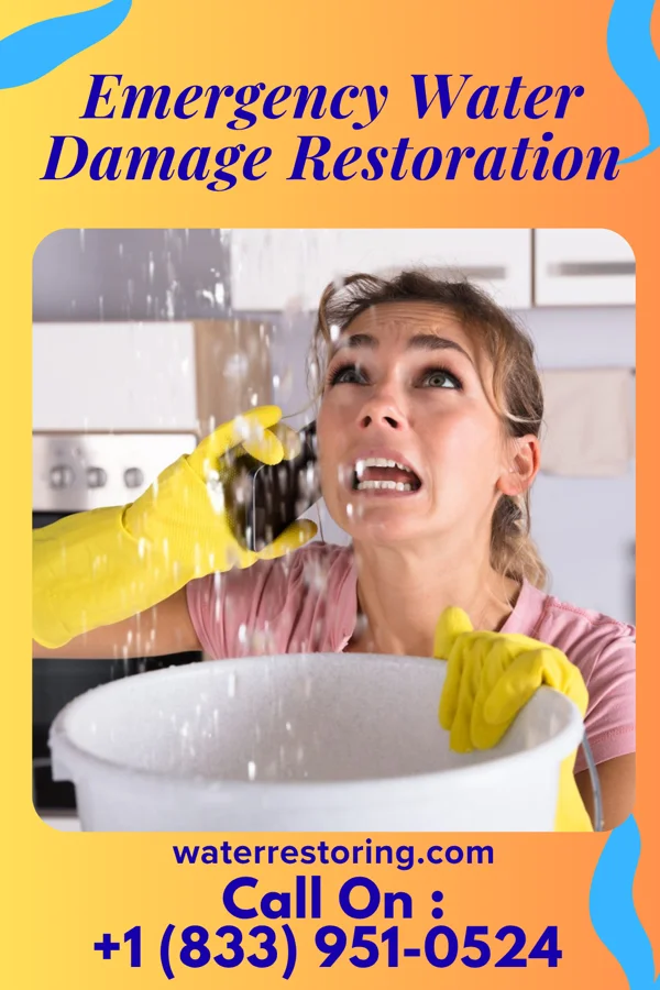 Emergency Water Damage Restoration in Occoquan, VA