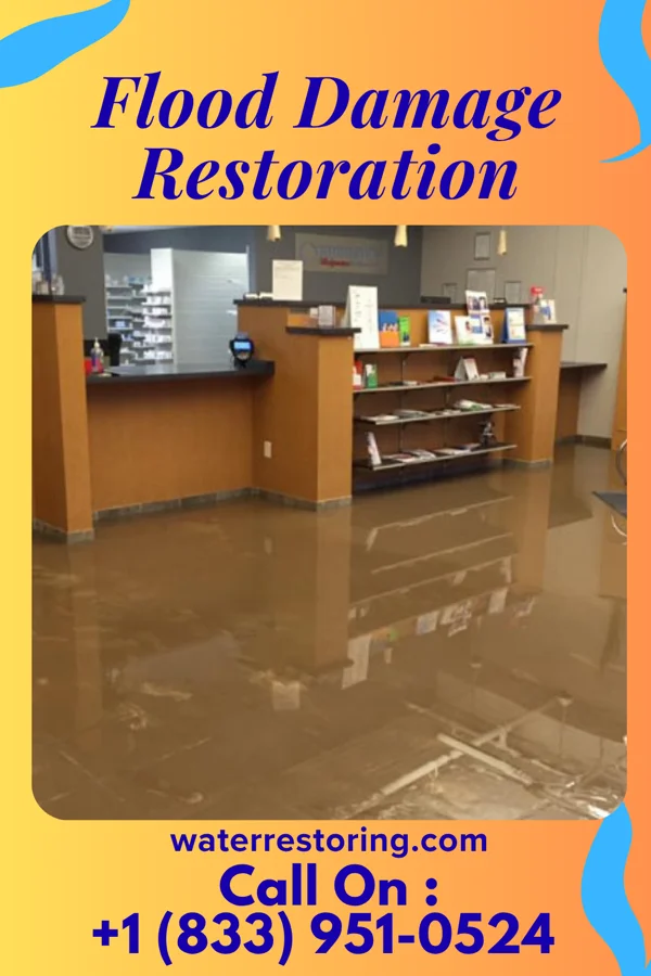 Flood Damage Restoration in Occoquan, VA