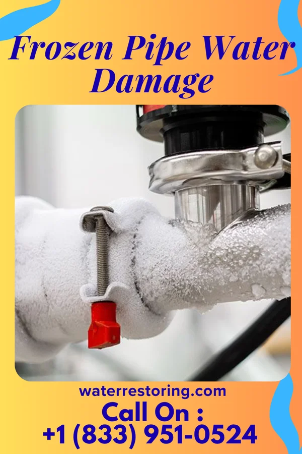 Frozen Pipe Water Damage in Occoquan, VA