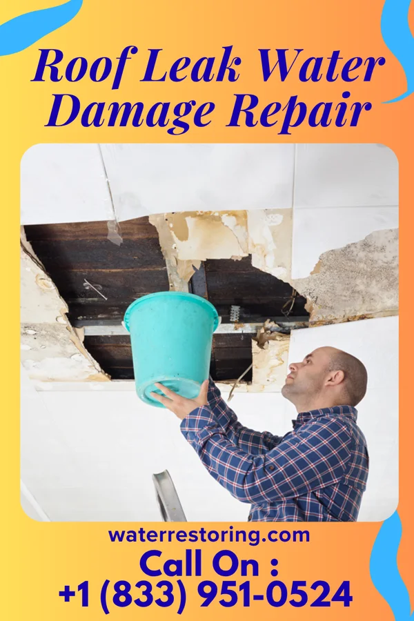 Roof Leak Water Damage Repair in Occoquan, VA