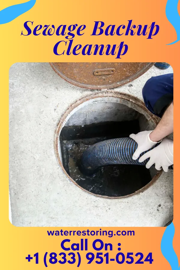 Sewage Backup Cleanup in Occoquan, VA