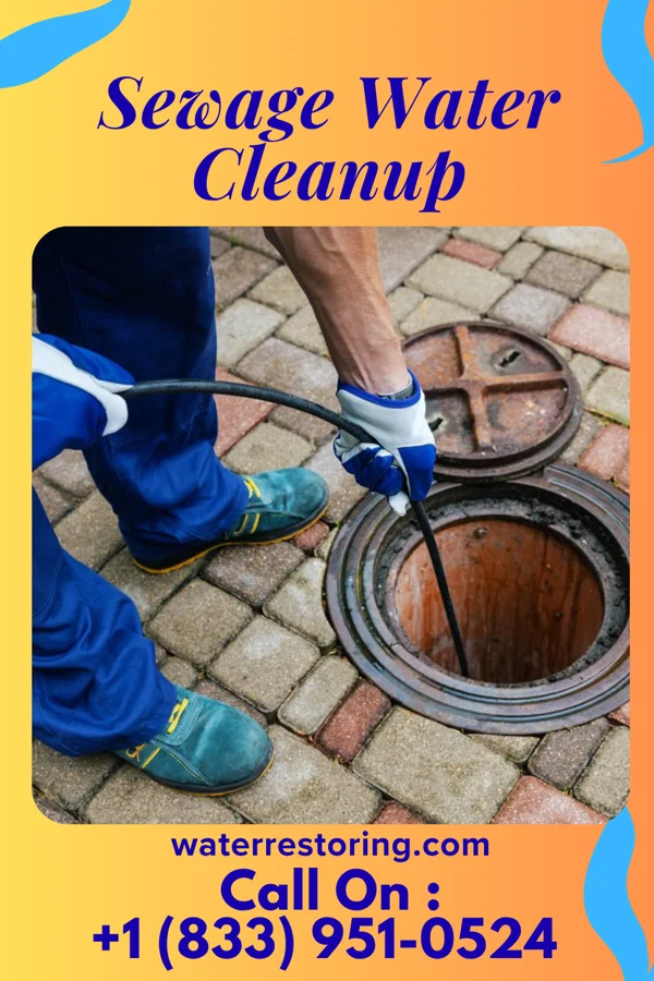 Sewage Water Cleanup in Occoquan, VA
