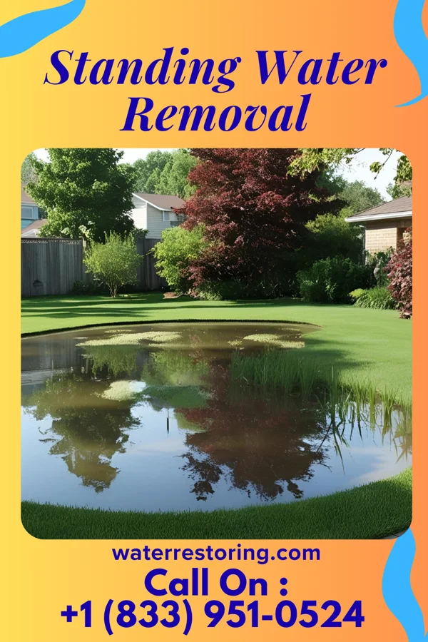 Standing Water Removal in Occoquan, VA